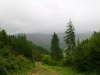 В Карпатах
