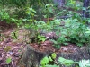 Преобразование
